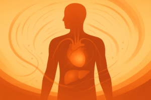 Jak funguje metabolismus tuků a jeho vliv na játra a srdce