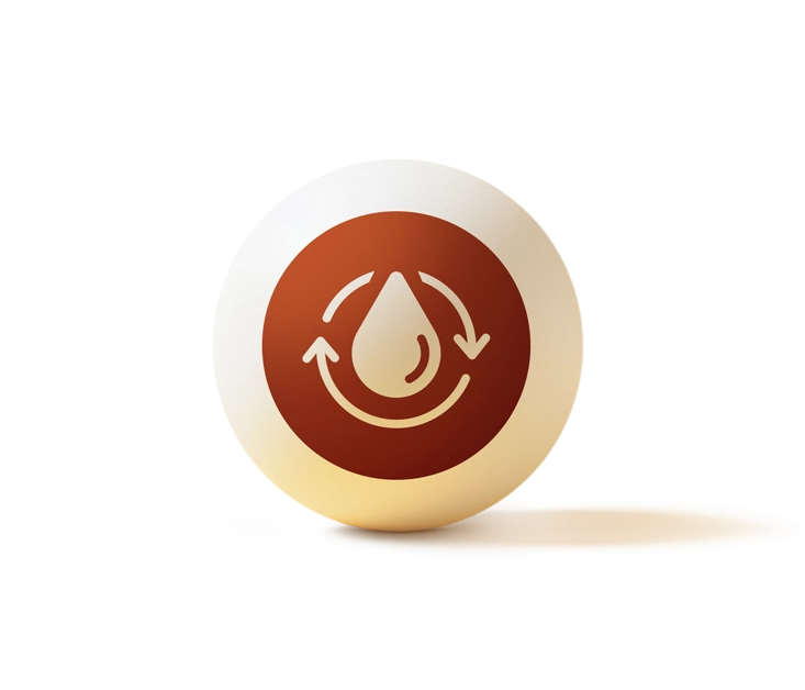 ikona metabolizmus lipidov